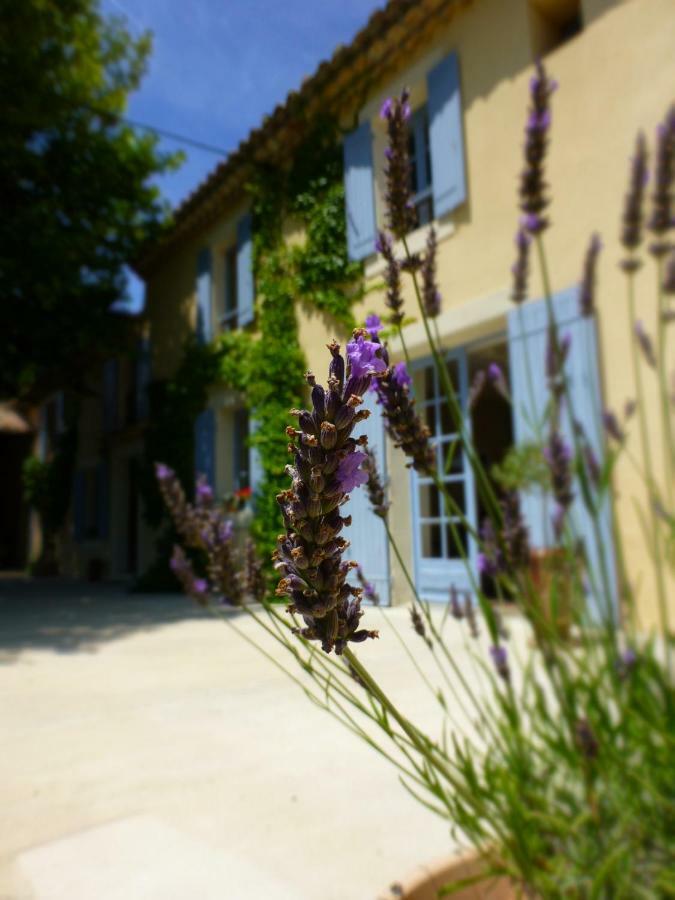 오랑주 Mas Li Doumenge B&B 외부 사진